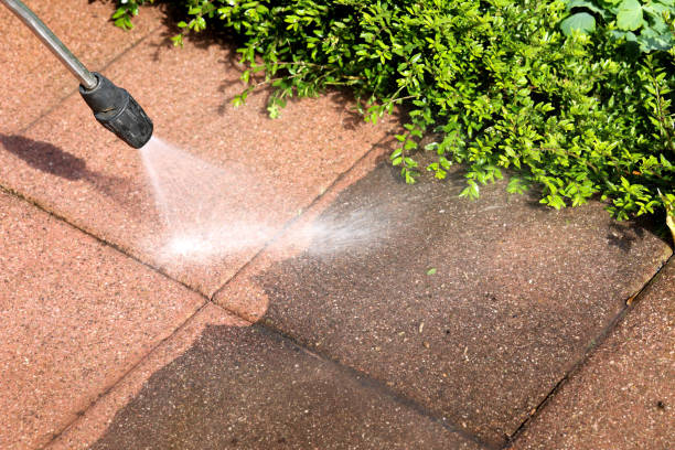 Best House Pressure Washing  in Ceresco, NE